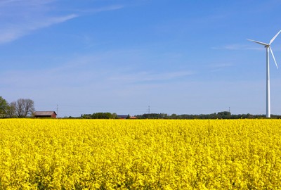 Vår historie | BORGA