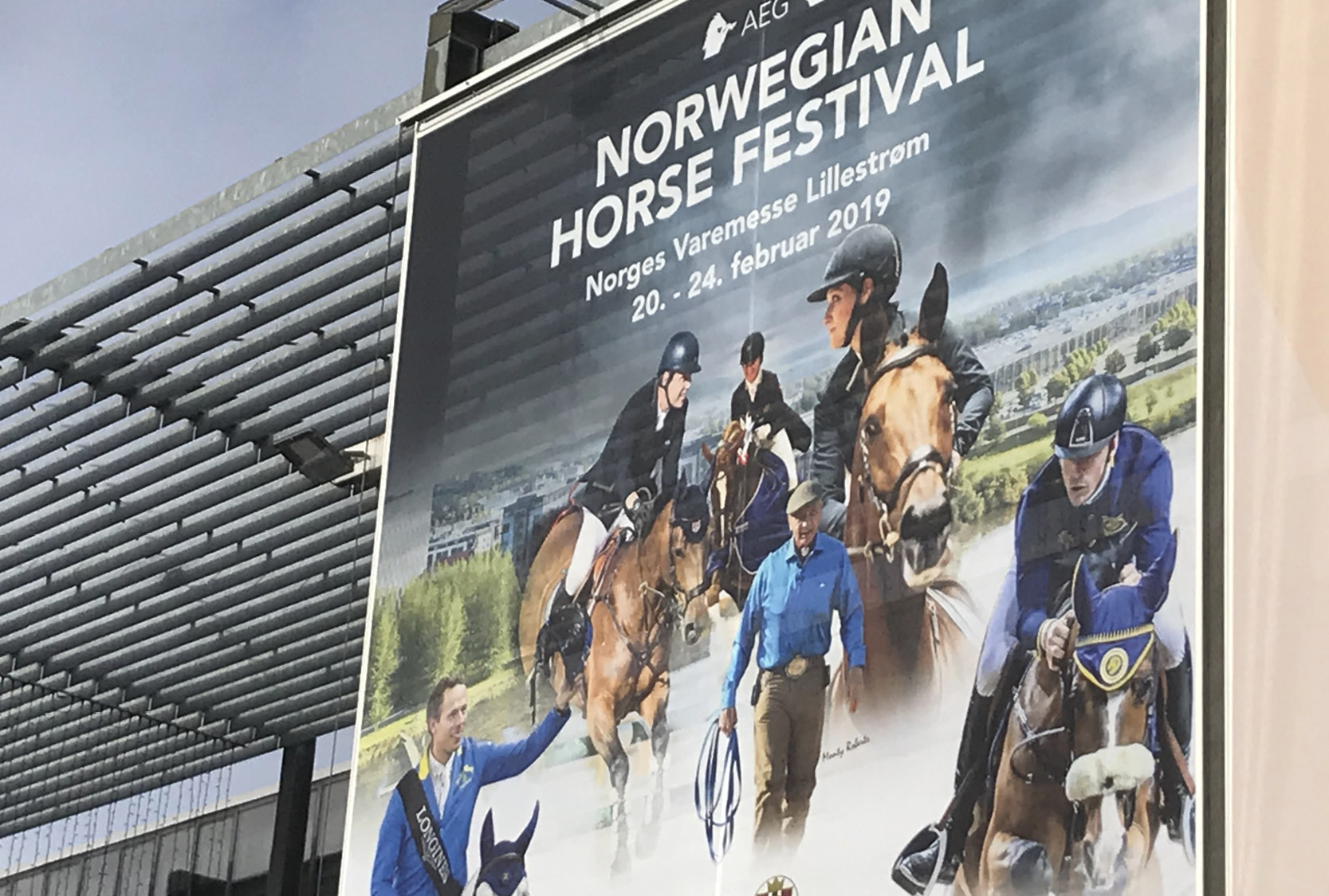 Historiens første Norwegian Horse Festival er gjennomført - Borga