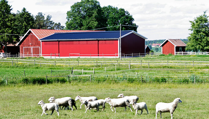 Bygg fårstall med oss | BORGA